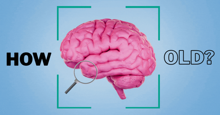 How Old Is Your Brain? Let’s Guess!