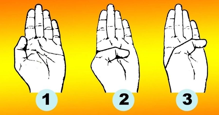 Let’s Read Your Palm and See Your Future! 🔮✋