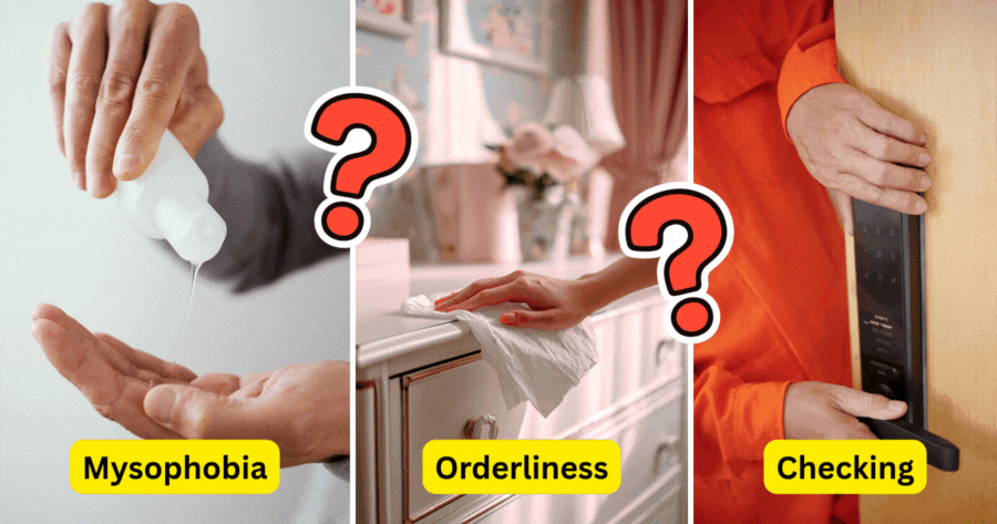 Mysophobia, Orderliness, Or Checking: Your OCD Flavor?